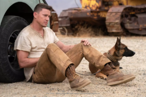 Read more about the article 5 najlepszych filmów z psem w roli głównej