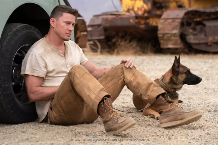 5 top filmów z psami w roli głównej